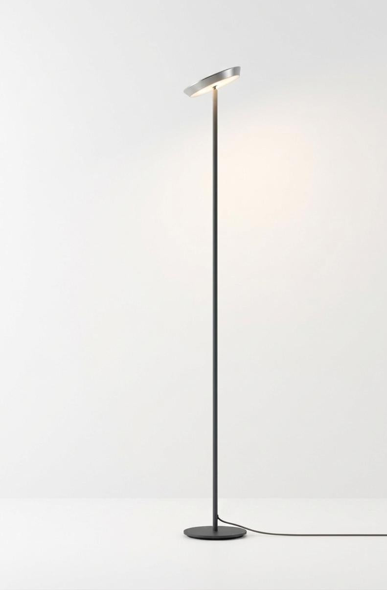 Minimalist Floor Lamp