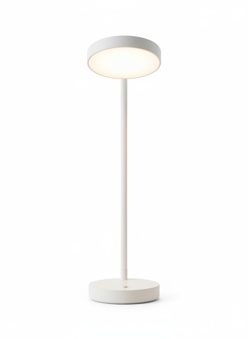 Curved Desk Lamp