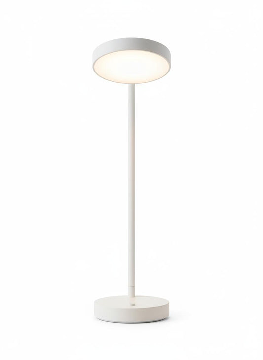 Curved Desk Lamp