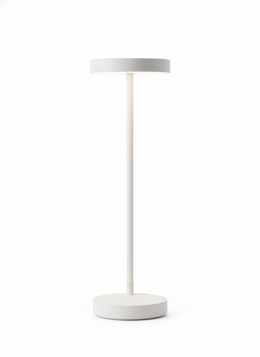 Curved Desk Lamp