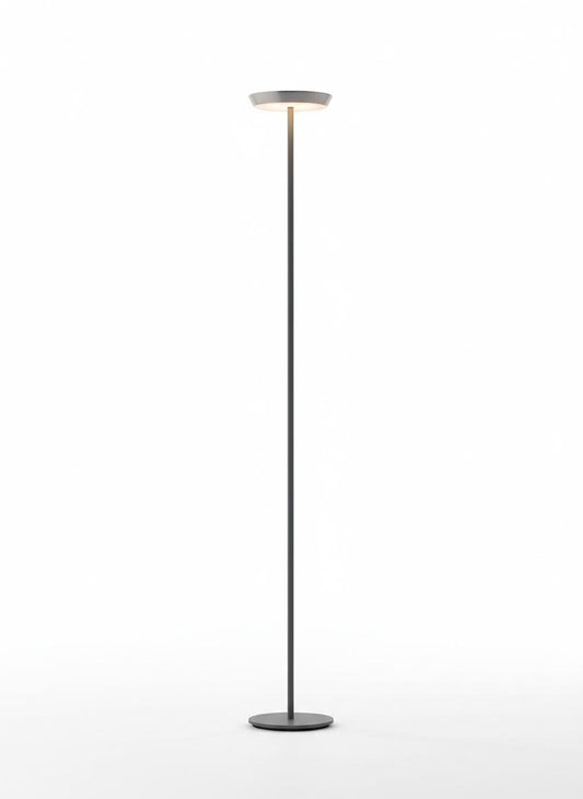 Minimalist Floor Lamp